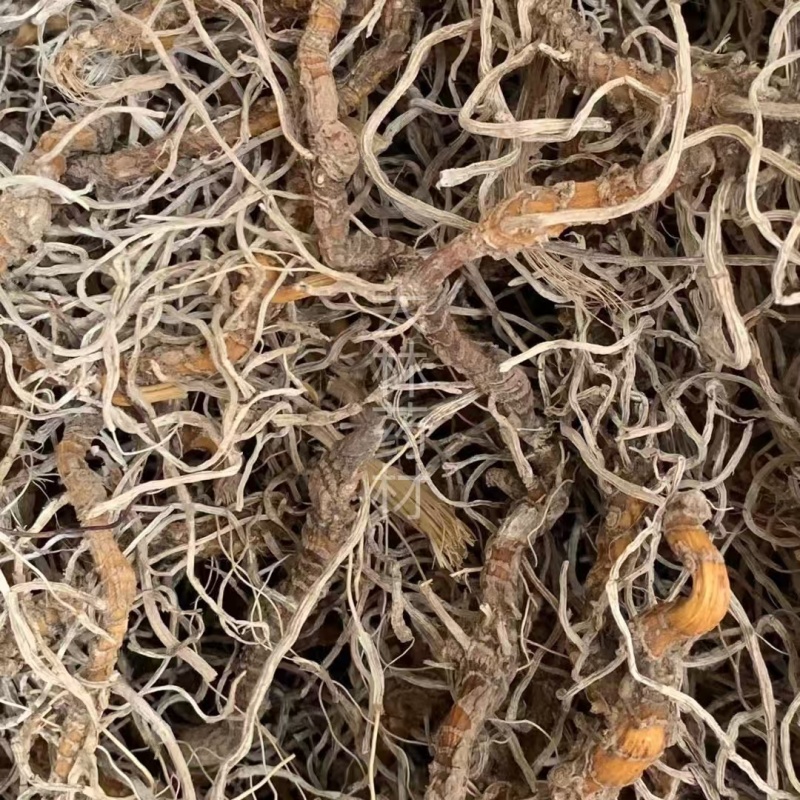 入地蜈蚣【包邮】三斤起发货可批量可零售量大从优