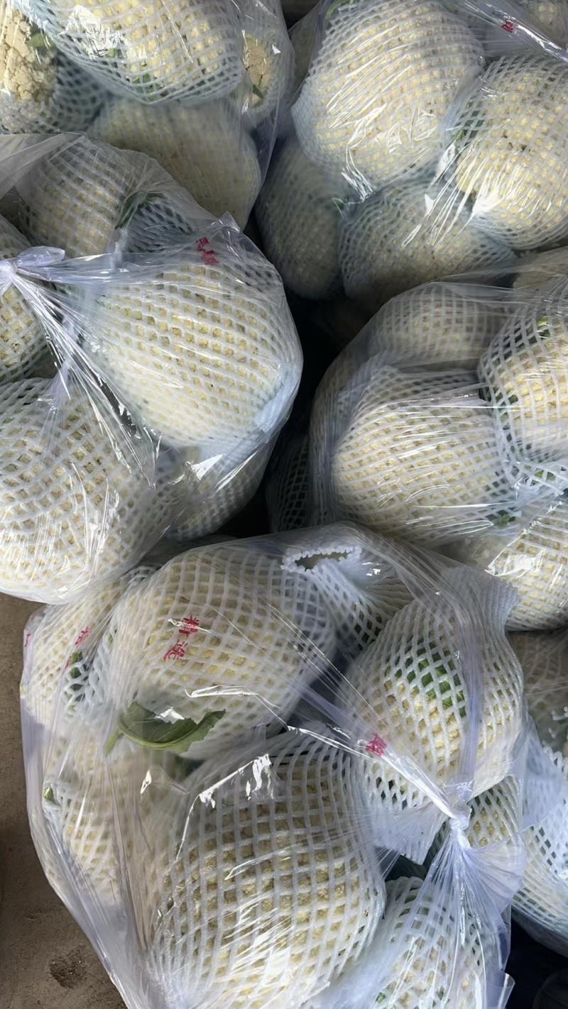 精品有机花花菜，河北花菜产地直供大量有货，可供超市电商