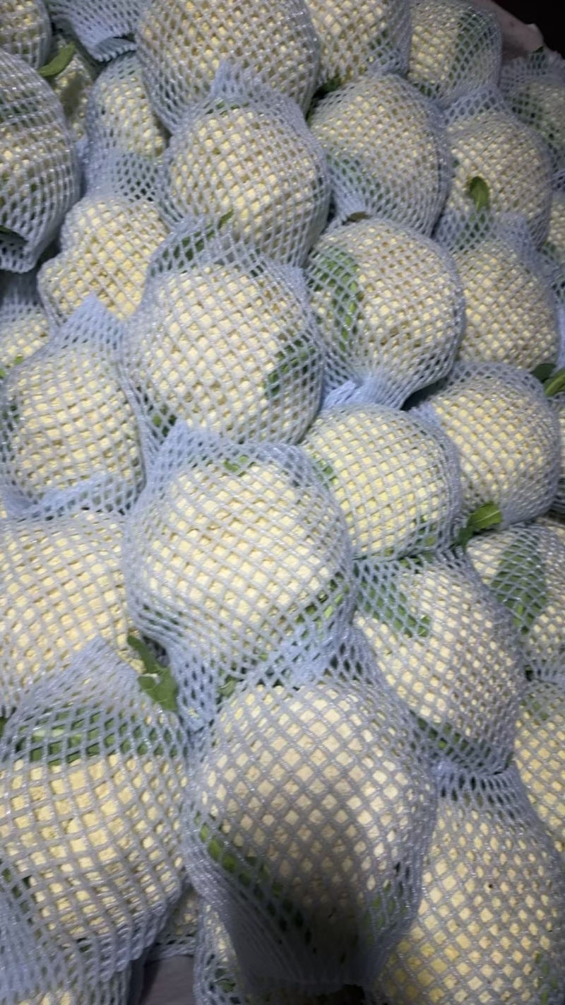 精品有机花花菜，河北花菜产地直供大量有货，可供超市电商