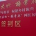 25日降价红油香椿芽晚熟品，一级品，四川特色香椿芽品