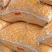 东北新玉米粒100斤批发价大粒干玉米喂鸡鸭鸽子动物饲料玉米粒