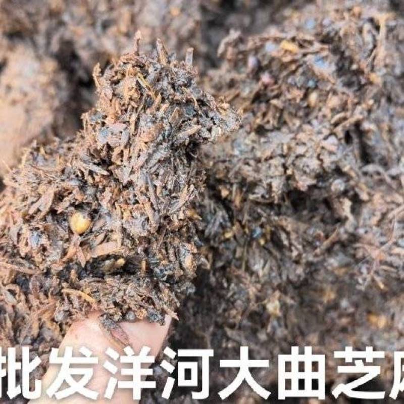 大量批发双沟.洋河芝麻香.五粮浓香