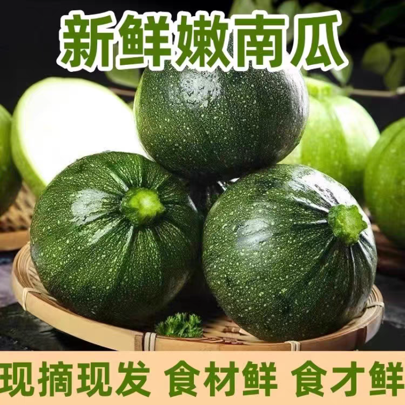 小南瓜嫩南瓜产地看货论价一手货源保质保量