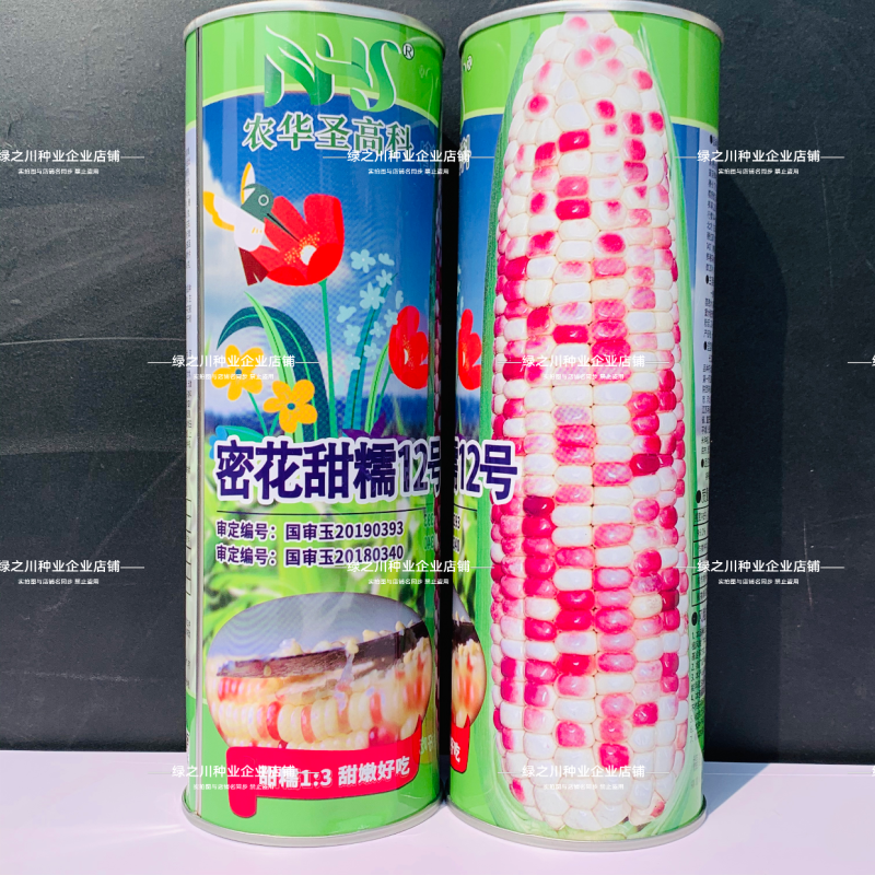 密花甜糯12号玉米种子彩甜糯玉米种子绿皮大棒产量高好吃