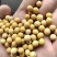 50斤装黑龙江非转基因大黄豆加工豆浆豆腐专用豆
