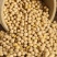 50斤装黑龙江非转基因大黄豆加工豆浆豆腐专用豆