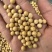50斤装黑龙江非转基因大黄豆加工豆浆豆腐专用豆