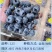 蓝莓苗25花香品种，组培苗，扦插苗，个头大口感好，