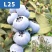 蓝莓苗25花香品种，组培苗，扦插苗，个头大口感好，