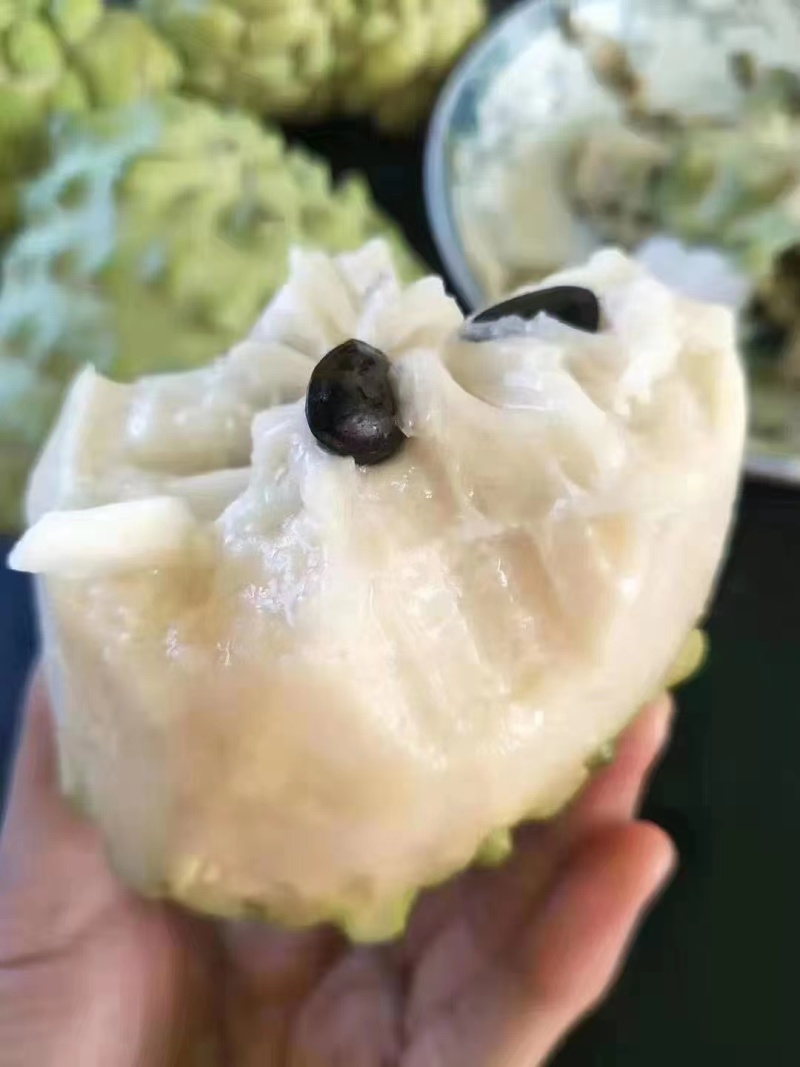 精品释迦