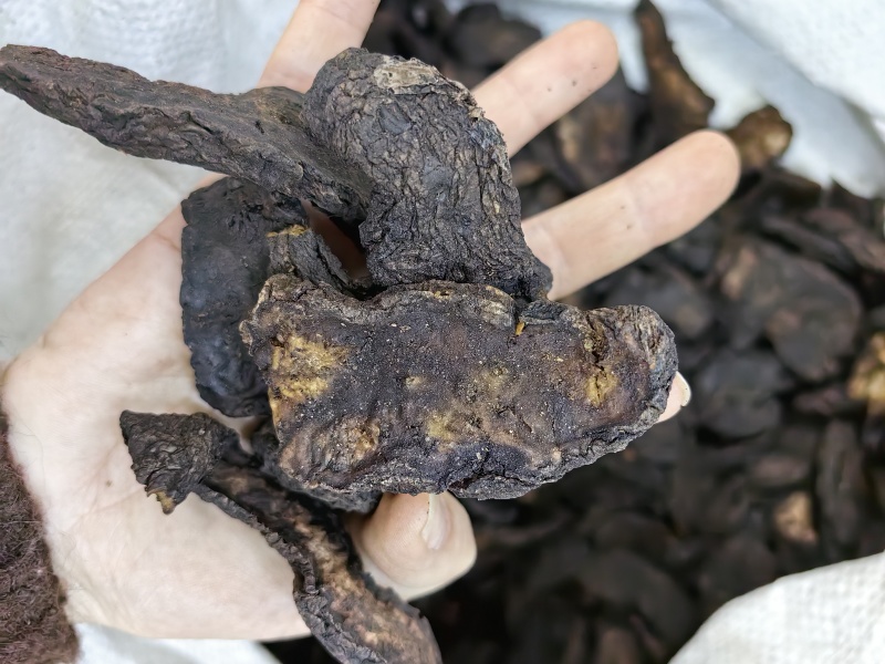 生地批发生地片规格齐全产地一手货源量大价优
