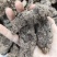 生地个批发生地规格齐全可供实体店批发零售量大价优