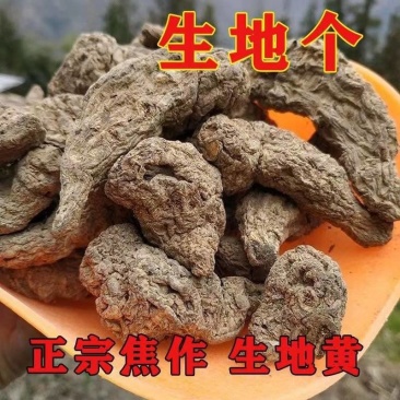 生地个批发生地规格齐全可供实体店批发零售量大价优