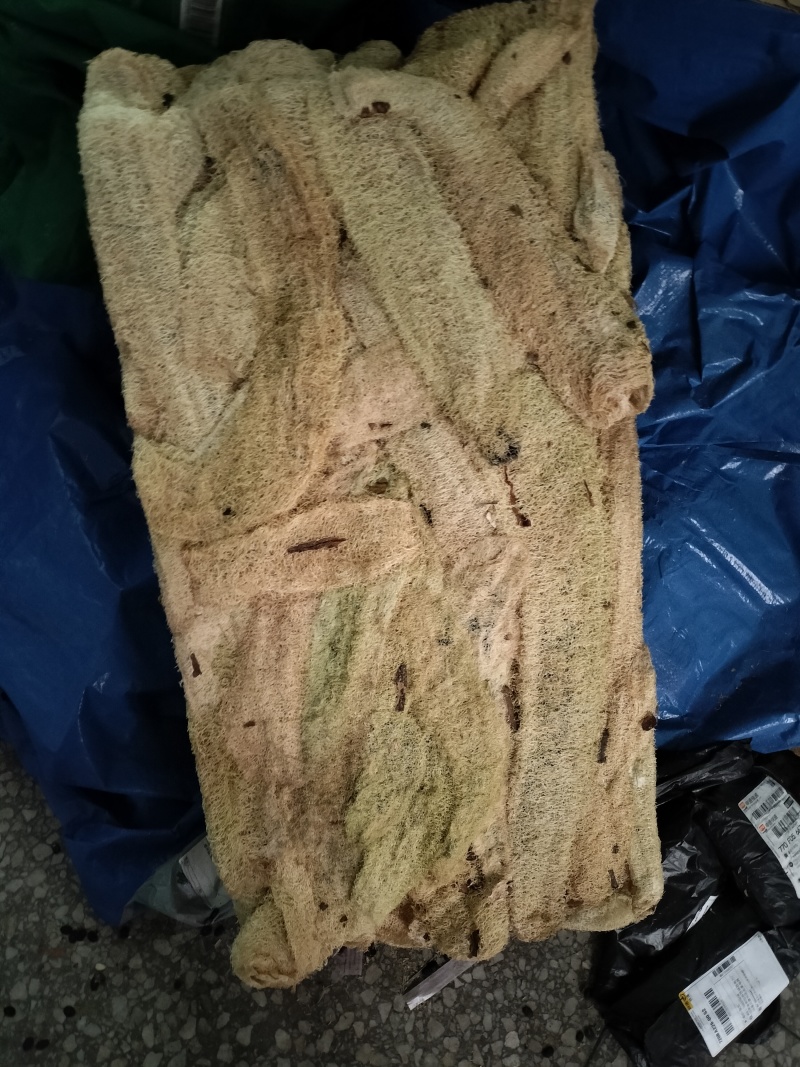 电商专业丝瓜络
