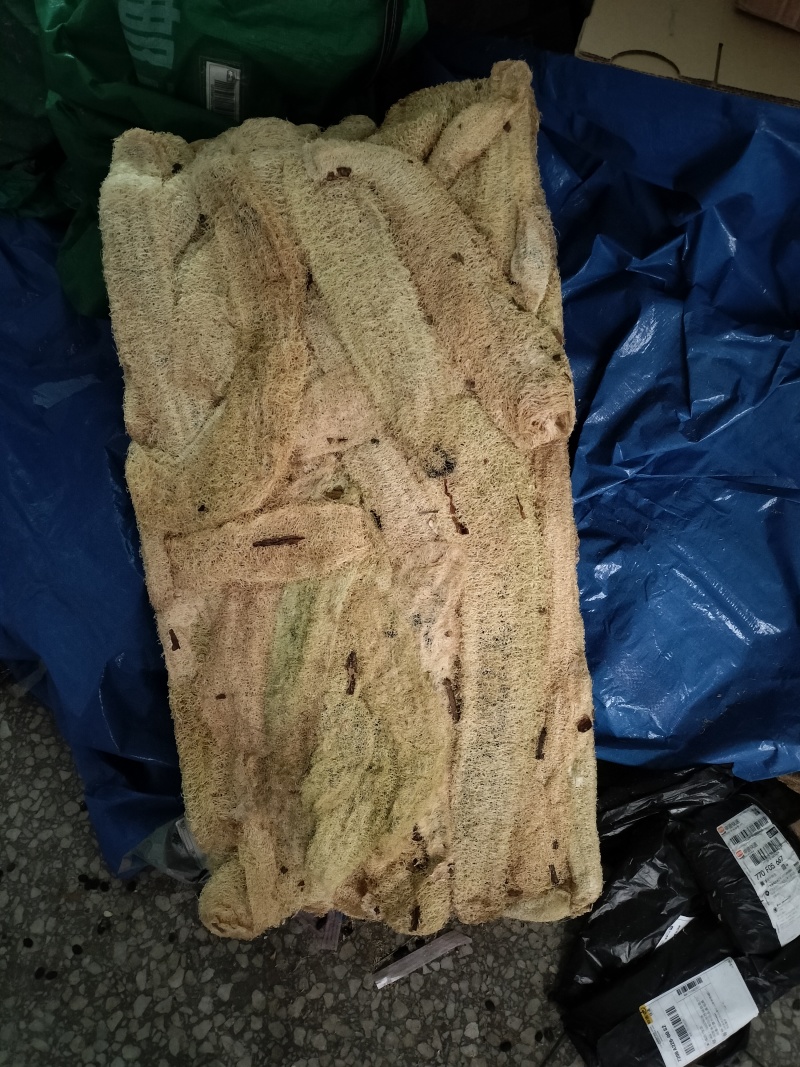 电商专业丝瓜络