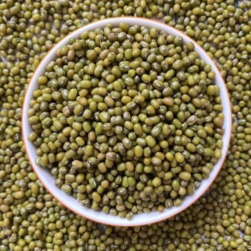 厂家批发特产绿豆50斤装豆浆奶茶店散装毛绿豆明绿豆新粮专用