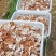 云南人工仿野生种植香菇系列野生香信菇一级鲜货、干货