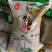 厂家批发特产绿豆50斤装豆浆奶茶店散装毛绿豆明绿豆新粮专用