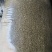 厂家批发特产绿豆50斤装豆浆奶茶店散装毛绿豆明绿豆新粮专用