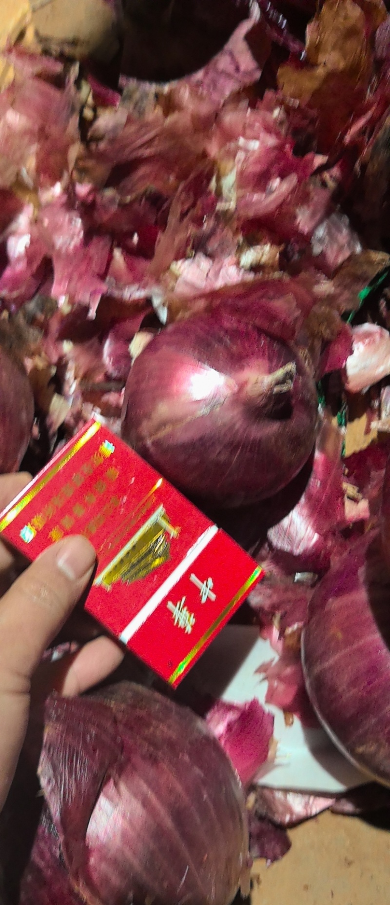 紫皮洋葱，电商一件代发，可视频看货，量大从优