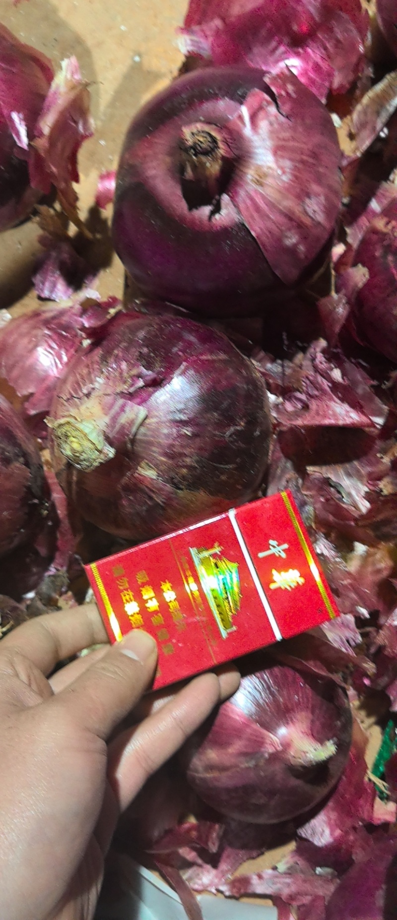 紫皮洋葱，电商一件代发，可视频看货，量大从优