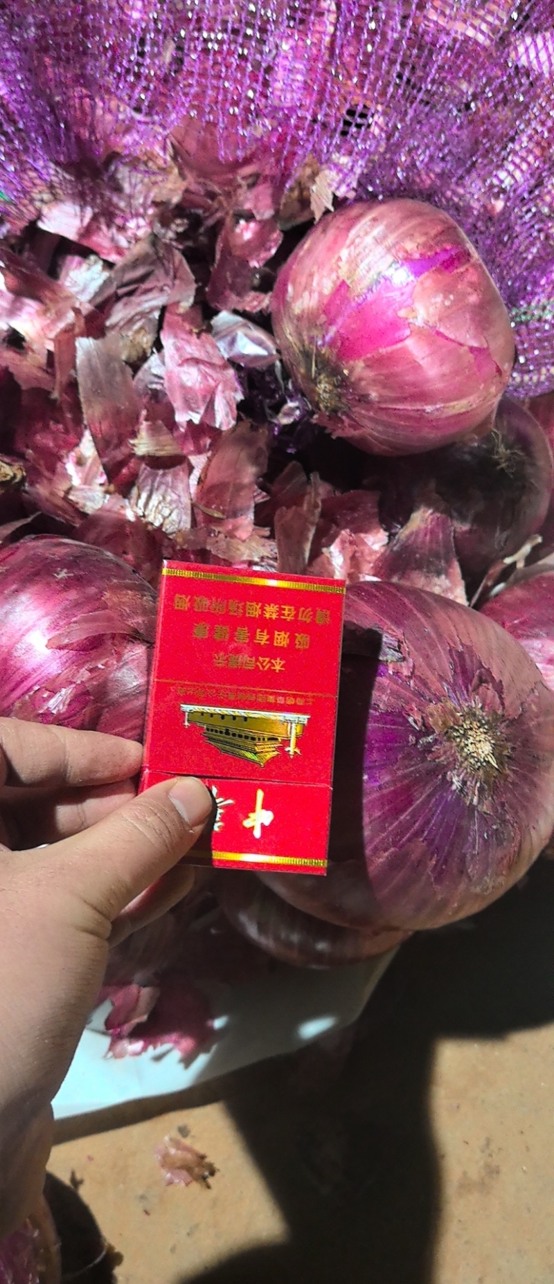 紫皮洋葱，电商一件代发，可视频看货，量大从优