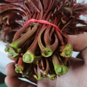 现货量大，欢迎电商