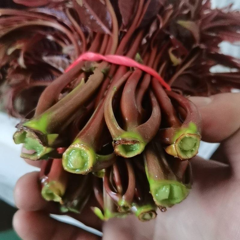 现货量大，欢迎电商