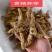 黄精种苗种芽野生新鲜鸡头黄精种子老虎姜种苗滋补药材
