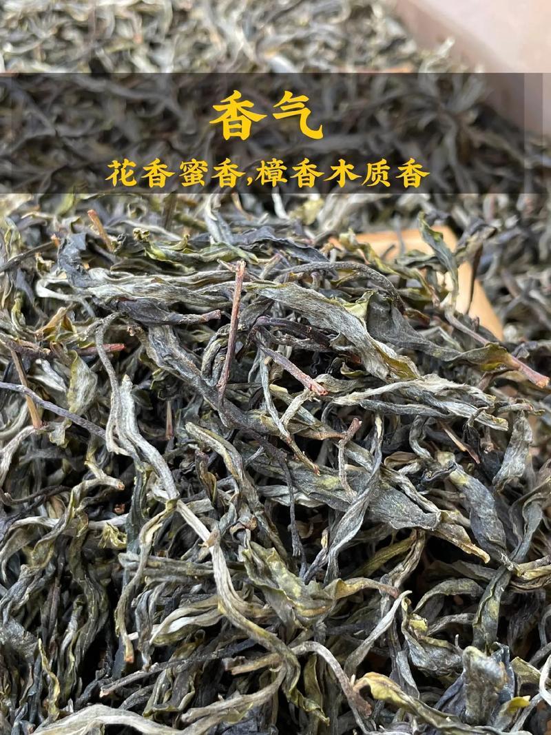 云南临沧高山古树单株散料生茶
