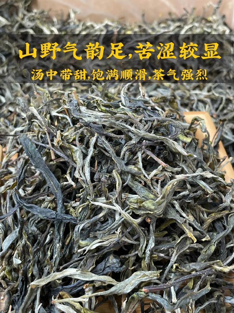 云南临沧高山古树单株散料生茶