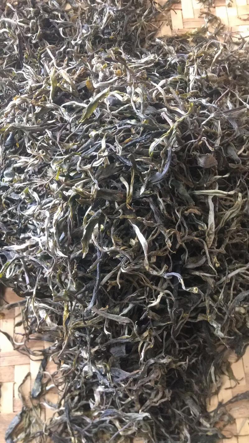 云南临沧高山古树单株散料生茶