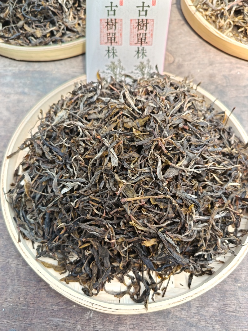 云南临沧高山古树单株散料生茶