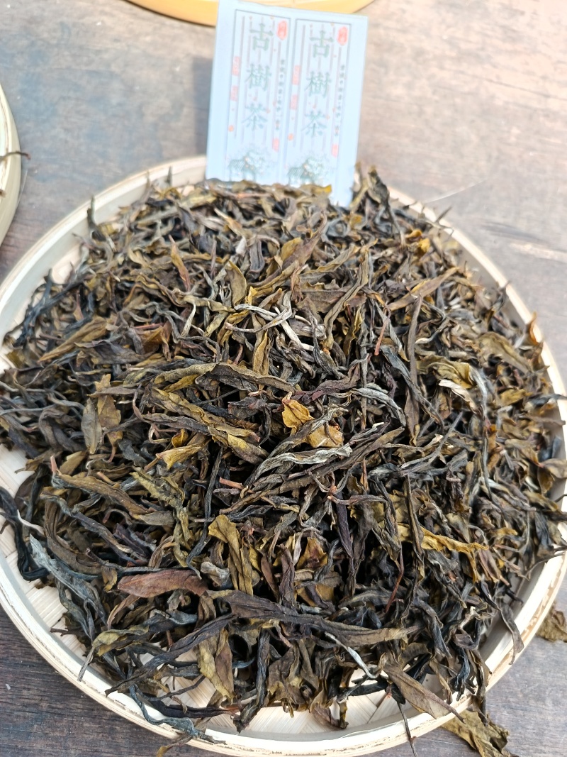 云南临沧百年古树茶纯散料