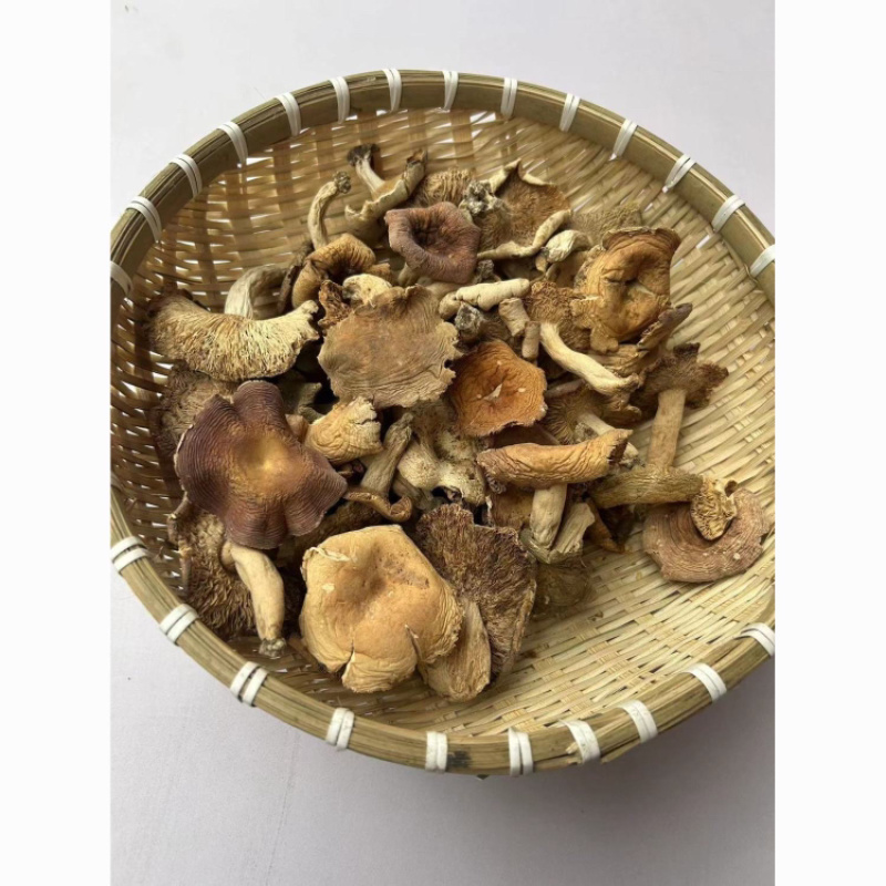 正宗野生菌子青头白蘑菇杂菌子野蘑菇高山农家特产养生滋补