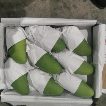 大青芒产地直发，一手货源，一件代发，一件带筐60斤