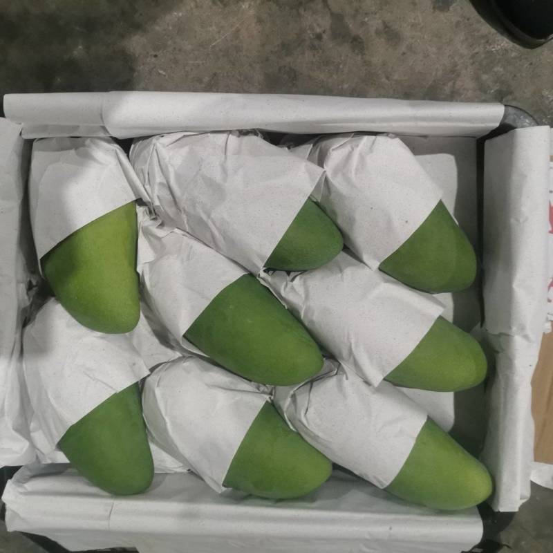 大青芒产地直发，一手货源，一件代发，一件带筐60斤