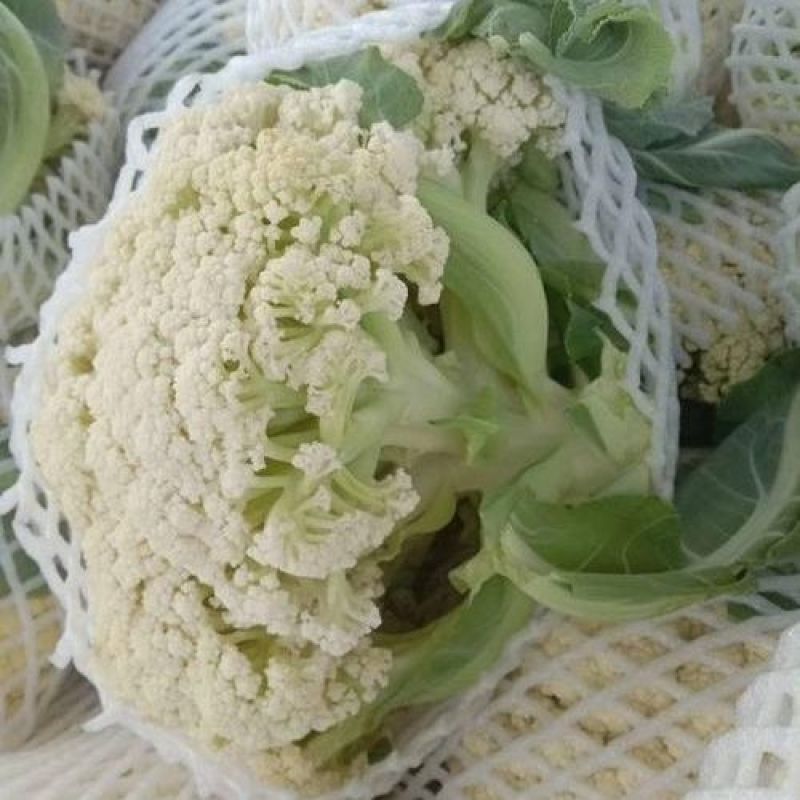 松花菜大量上市，菜花大量供应，支持各种包装，