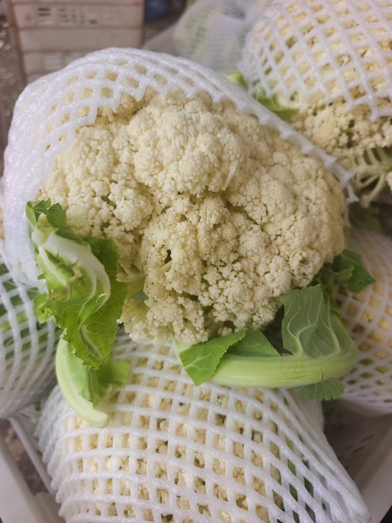 松花菜大量上市，菜花大量供应，支持各种包装，