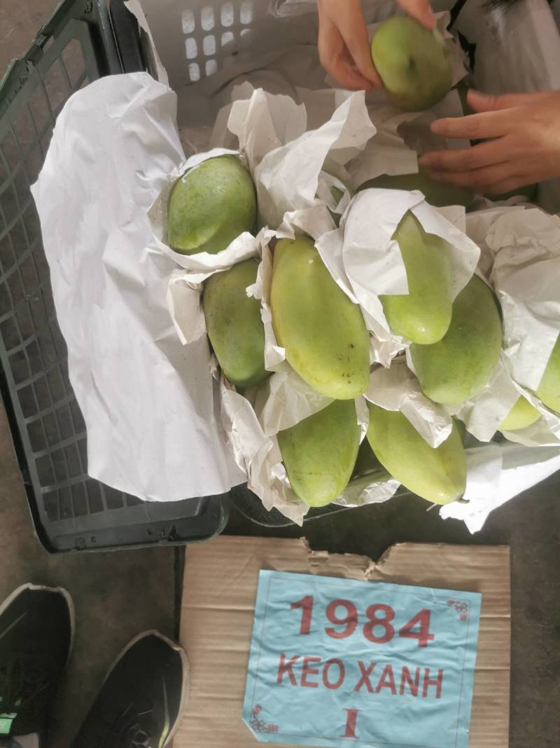 玉芒直供，一手货源，一件代发，代筐一件62斤