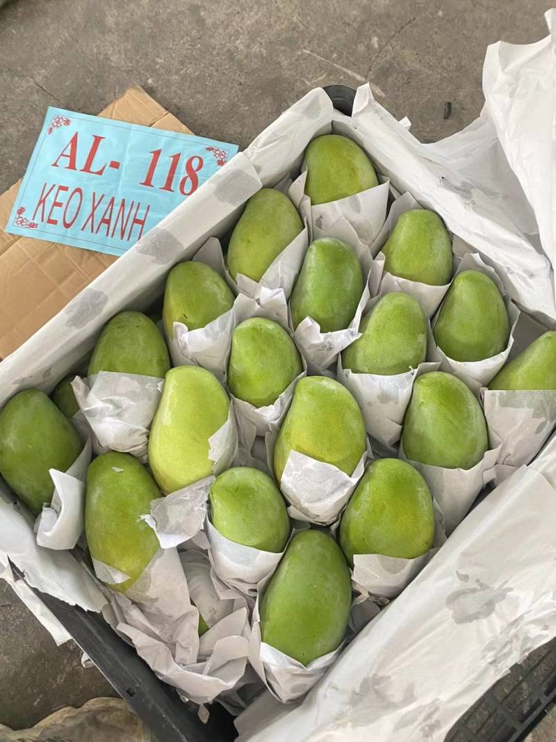 玉芒直供，一手货源，一件代发，代筐一件62斤
