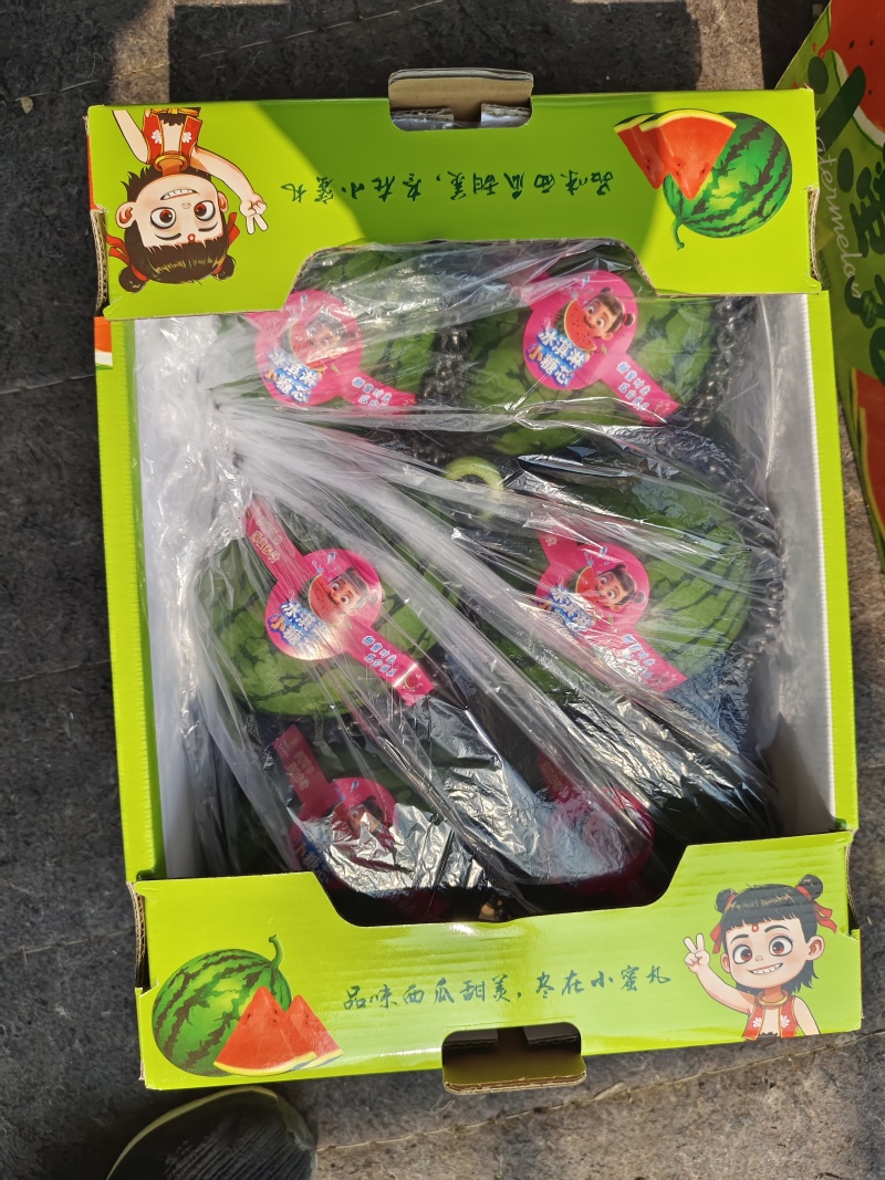 山东潍坊小糖丸西瓜落价，规格齐全，价格可谈，欢迎联系