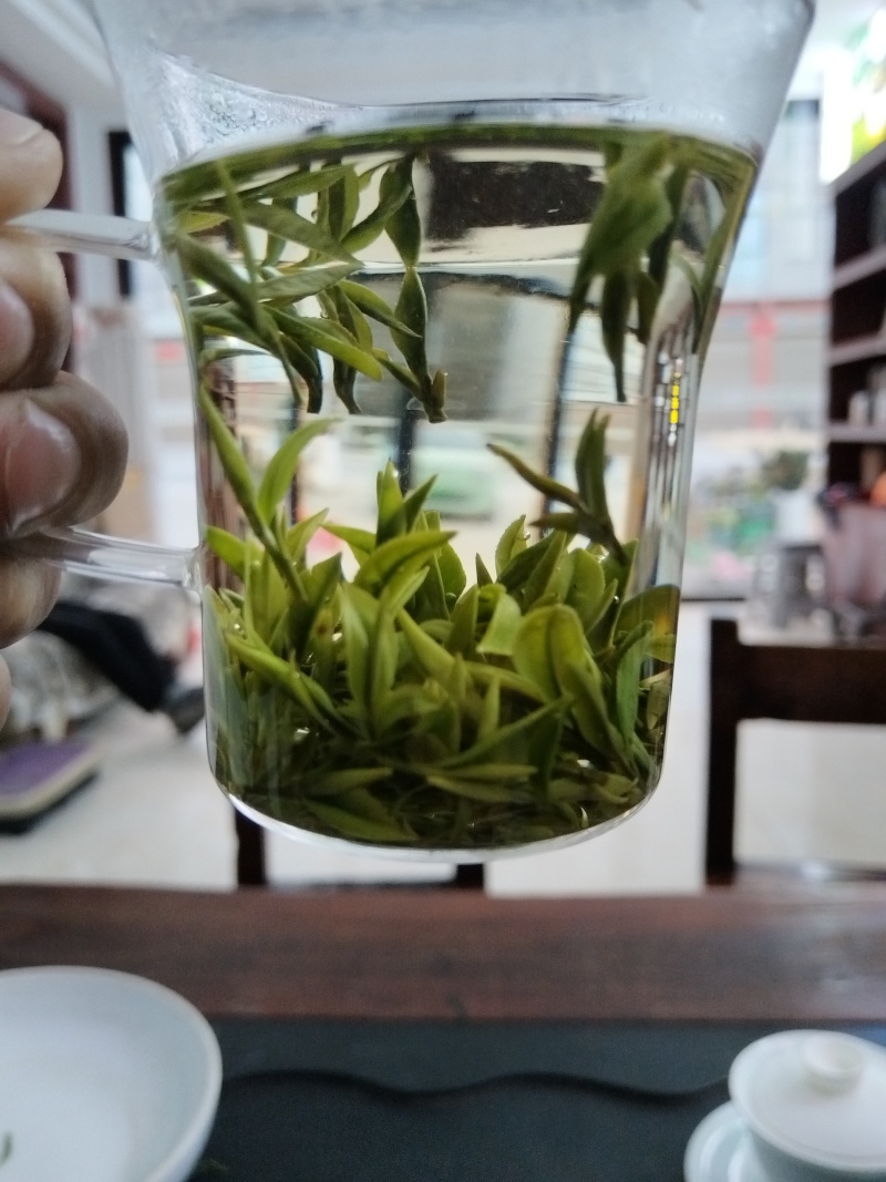 茶龙井茶玉叶2024年新茶，明前茶欢迎各大老板采购