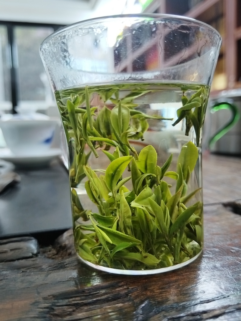 茶龙井茶玉叶2024年新茶，明前茶欢迎各大老板采购