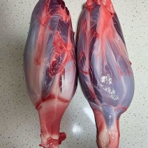 内蒙古牛腱子屠宰场一手货源