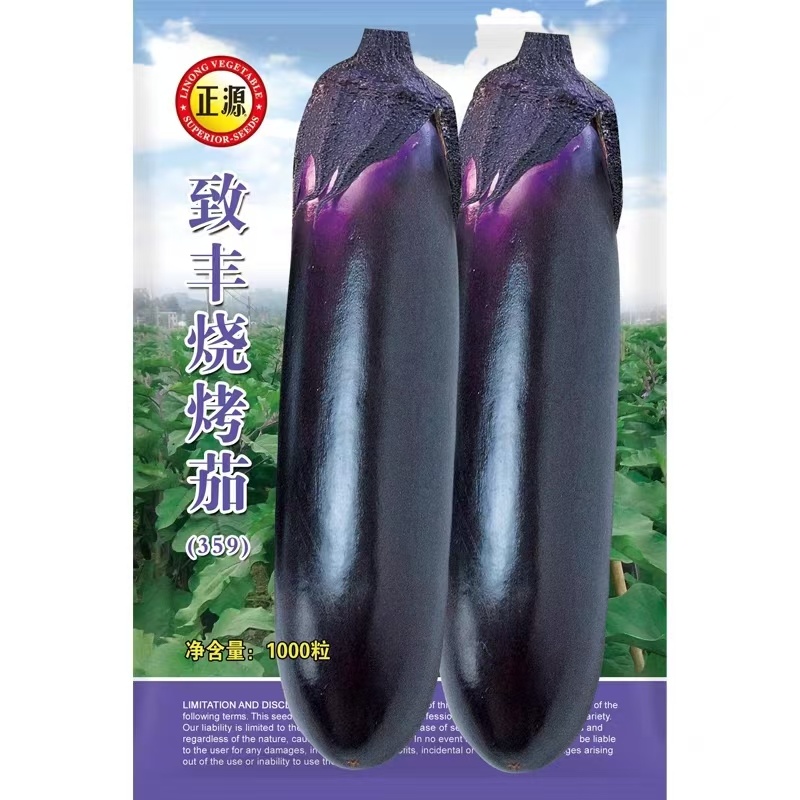 茄子苗（烧烤茄），果型直，黑色深紫光亮卖相好，头尾均匀
