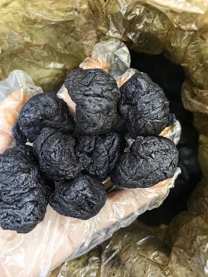 批发优质熟地熟地丸一手货源可供大货量大价优