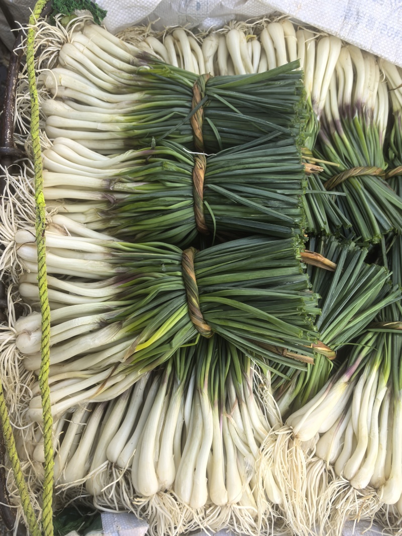 新鲜荞头苖，品质好质量高，量大从优，价格可谈欢迎咨询！