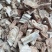 优质无添加葛根欢迎联系订购量大从优