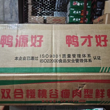 樱桃谷白条鸭